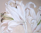 White Lilies