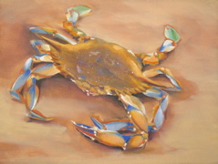 Blue Crab