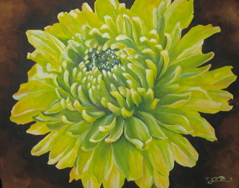 Green Chrysanthemum