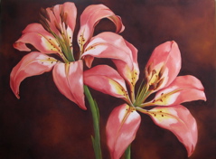 Pine Lilies