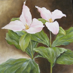 Pink Trillium