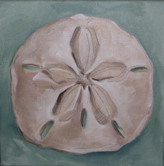 Sand Dollar