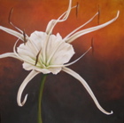 Spider Lily II