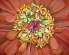 Zinnia